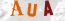 Güvenlik Resmi