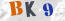 Güvenlik Resmi