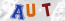 Güvenlik Resmi
