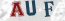 Güvenlik Resmi